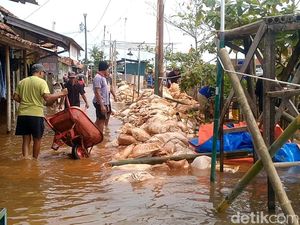 Banjir di Tirto Pekalongan Berangsur Surut Usai Tanggul Sungai Meduri Jebol Banjir di Tirto Pekalongan Berangsur Surut Usai Tanggul Sungai Meduri Jebol
