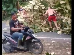 40 Titik Kerusakan di Badung akibat Angin Kencang