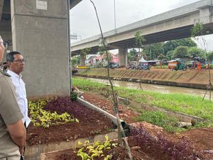 Heru Budi Cek Urban Farming di Kolong Tol Becakayu: Perlu Dikembangkan Heru Budi Cek Urban Farming di Kolong Tol Becakayu: Perlu Dikembangkan