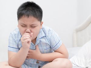 Senyawa Antituberkulosis dalam Tumbuhan di Sekitar Kita Senyawa Antituberkulosis dalam Tumbuhan di Sekitar Kita