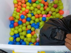 Cuan Berlimpah! Pedagang Lato-lato Bisa Kantongi Omzet Rp 15 juta/Hari