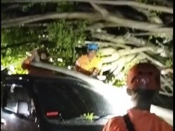 Dampak Angin Kencang di Parepare: 7 Rumah Rusak-1 Mobil Tertimpa Pohon