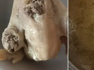 Zonk! Masak untuk Pertama Kalinya, Pria Ini Sajikan Sup Menjijikan Zonk! Masak untuk Pertama Kalinya, Pria Ini Sajikan Sup Menjijikan