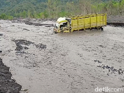 Truk Angkut Sengon Terjebak Aliran Banjir Lahar Semeru