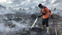 Potret Perjuangan Damkar Padamkan Kebakaran Lahan Gambut di Kalteng