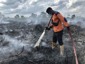Potret Perjuangan Damkar Padamkan Kebakaran Lahan Gambut di Kalteng