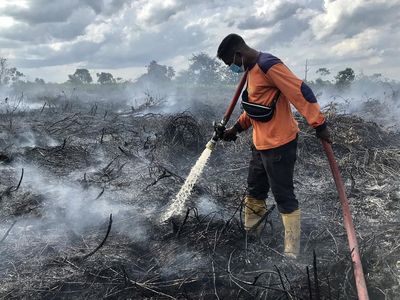 Potret Perjuangan Damkar Padamkan Kebakaran Lahan Gambut di Kalteng