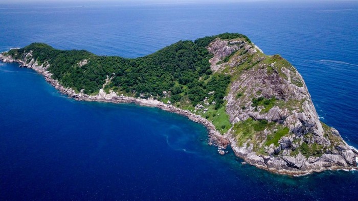 Ngerinya Pulau Terlarang purwana.net di Brasil, Markas Para Ular Beracun