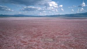 Potret Danau Natron di Tanzania, Cantik Tapi Mematikan