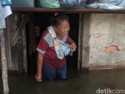 Banjir di Prampelan Demak, Warga Emoh Ngungsi Bikin Panggung di Rumah