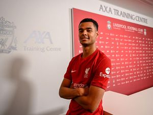 Dokumen Transfer Beres, Cody Gakpo Bisa Debut Akhir Pekan Ini Dokumen Transfer Beres, Cody Gakpo Bisa Debut Akhir Pekan Ini