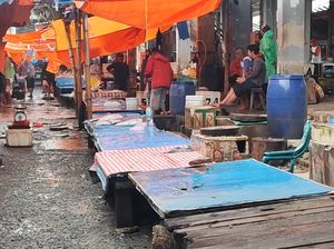 Imbas Cuaca Ekstrem, Ikan Laut di Pasar Parepare Langka Imbas Cuaca Ekstrem, Ikan Laut di Pasar Parepare Langka