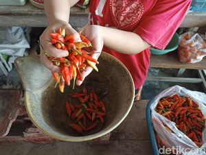 Pedas Menyala, Ini 10 Khasiat Mengkonsumsi Cabai Pedas Menyala, Ini 10 Khasiat Mengkonsumsi Cabai