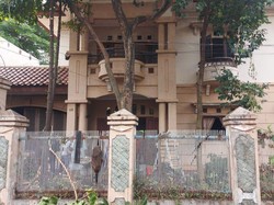 Ibu Eny Viral Hidup di Rumah Mewah Terbengkalai Dievakuasi Dinsos ke RS