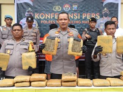 Polisi Tangkap 2 Kurir Bersama 23 Kg Ganja di Madina