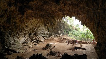 22 Desa Wisata Terdampak Gempa Flores Masih Ditutup untuk Wisatawan