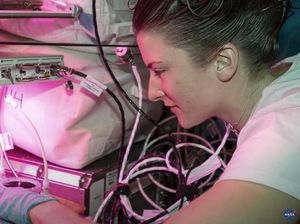 Deretan Gambar Sains di Stasiun Luar Angkasa Terbaik 2022