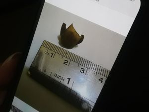 Terungkap! Potongan Jari Manusia dalam Sayur Lodeh Milik Pria Terungkap! Potongan Jari Manusia dalam Sayur Lodeh Milik Pria