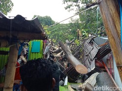 Pohon Tumbang Timpa Rumah di Makassar, Seorang Lansia Terluka
