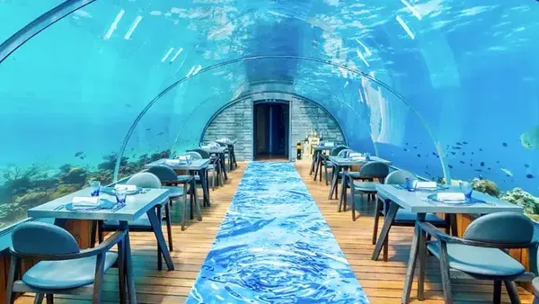 Keren! Di 10 Restoran Ini Bisa Bersantap dengan Panorama Bawah Laut