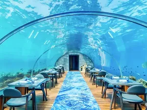 Keren! Di 10 Restoran Ini Bisa Bersantap dengan Panorama Bawah Laut