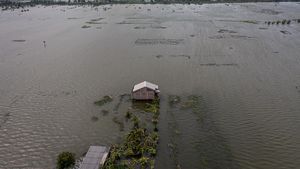 Sawah di Demak Terendam Banjir, Petani Terancam Gagal Panen