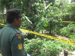 Heboh Septic Tank Warga Madiun Berasap dan Berbau Belerang