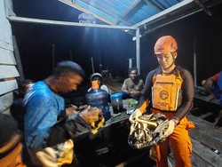 Bocah di Kaltim Tewas Diterkam Buaya, Ditemukan Tinggal Tulang