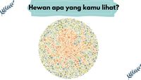 Soal Buta Warna Nggak Pakai Mikir, Harusnya Terjawab Kurang dari Semenit