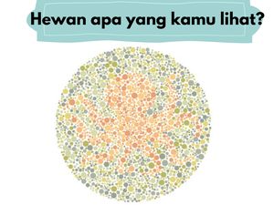 Soal Buta Warna Nggak Pakai Mikir, Harusnya Terjawab Kurang dari Semenit