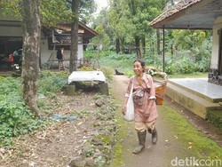 Melihat Dusun Puncak Manik, Permukiman di Tengah Hutan Sumedang
