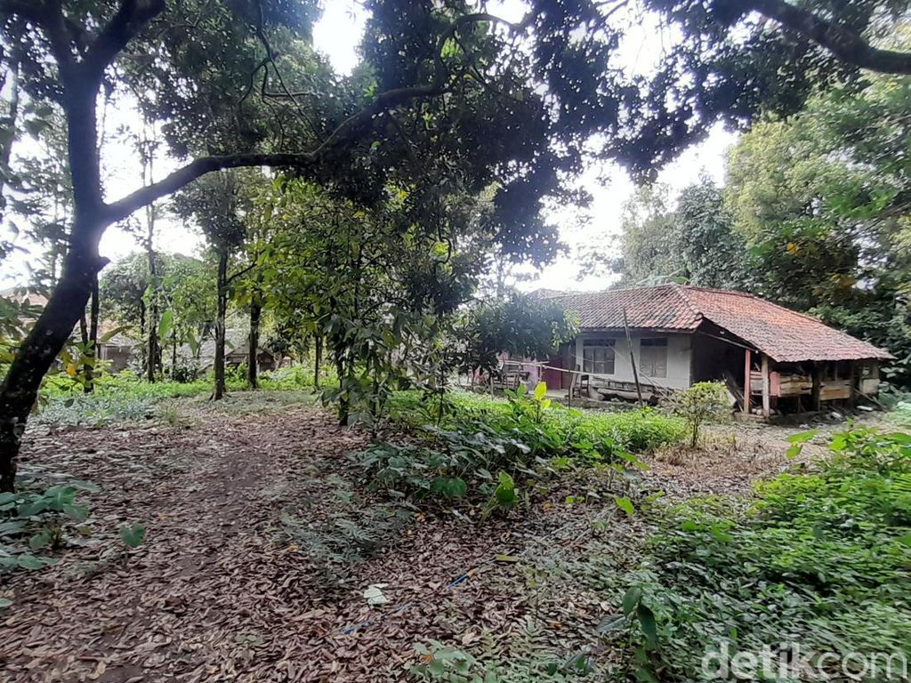 Kisah Dusun Puncak Manik: Lokasi di Tengah Hutan-Ditinggalkan Penduduk