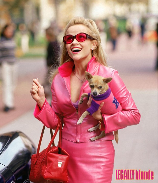 Foto: instagram.com/legallyblondemovies Legally Blonde/