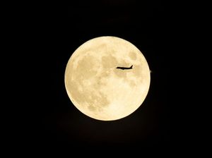 Jenis-jenis Bulan Purnama, Cek Informasinya di Sini Jenis-jenis Bulan Purnama, Cek Informasinya di Sini