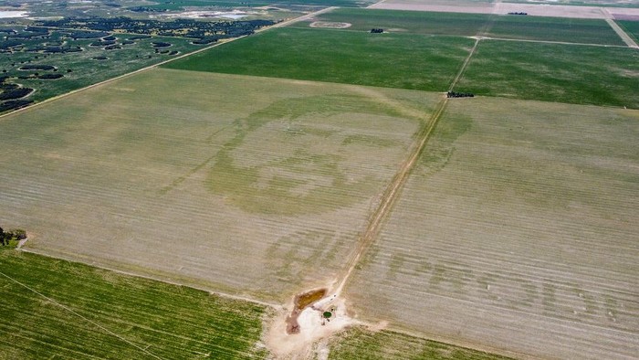 A cornfield features an image of Argentine soccer player Lionel Messi in Cordoba, Argentina, Wednesday, Jan. 4, 2022, on the day it was created. According to the farmer, Pablo Luccero, his planter machine has the technology to imprint images fed to it electronically. (AP Photo/Leandro Vallerino)