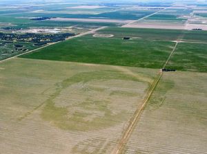 Petani Argentina Ukir Wajah Messi di Ladang Jagung, Keren...
