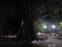 Mitos Pohon Beringin di Cimahi yang Konon Tak Bisa Ditebang