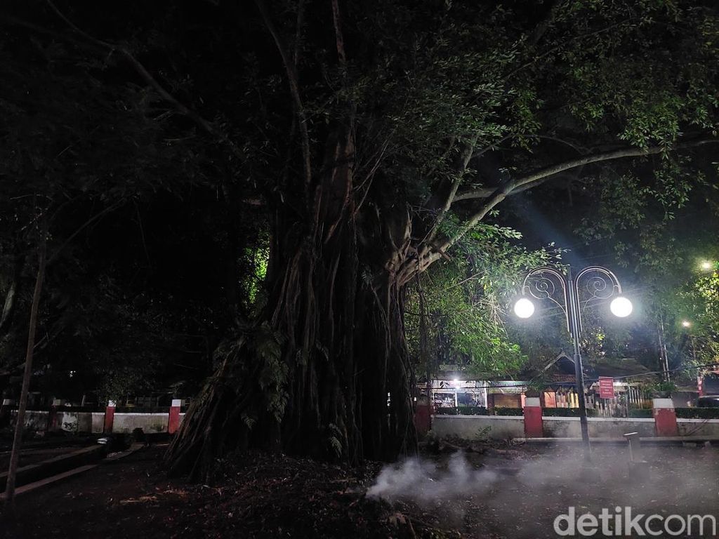 Mitos Pohon Beringin di Cimahi yang Konon Tak Bisa Ditebang Mitos Pohon Beringin di Cimahi yang Konon Tak Bisa Ditebang