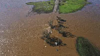 Bingkai Sepekan: Bencana dan Satwa