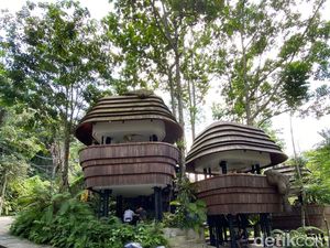 Review: Berkunjung ke Kafe Viral di Ubud, Tempatnya Instagramable Tapi...