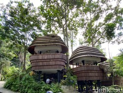 Review: Berkunjung ke Kafe Viral di Ubud, Tempatnya Instagramable Tapi...