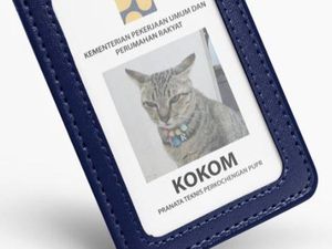 Kisah Kucing Sukses yang Jadi Pegawai Kementerian PUPR