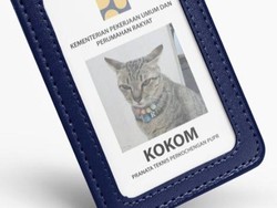 Kisah Kucing Sukses yang Jadi Pegawai Kementerian PUPR