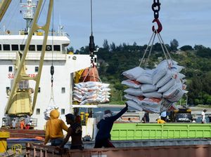 RI Bakal Dibanjiri Lagi 2 Juta Ton Beras Impor