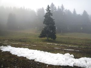 Apa Itu Pemanasan Global? Ini Penyebab, Dampak, dan Cara Menanggulanginya