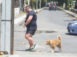 Kerap Gonggong-Kejar Turis di Legian, Anjing Liar Bakal Direlokasi