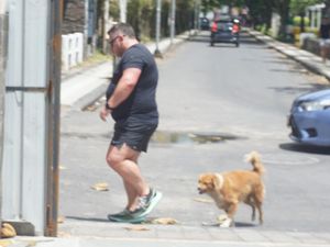 Relokasi Anjing Liar di Legian Dihentikan Sementara Relokasi Anjing Liar di Legian Dihentikan Sementara