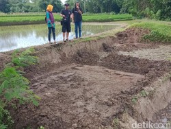 Bajak Sawah, Petani di Klaten Malah Temukan Struktur Bata Kuno