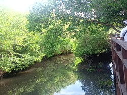 Sengketa Informasi Lawan DKLH Ditolak Sebagian, Walhi Ajukan Keberatan