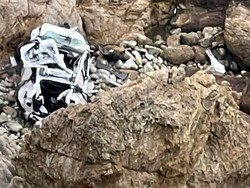 Mobil Tesla Masuk Jurang sampai Ringsek, 4 Penumpang Masih Hidup